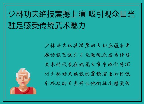 少林功夫绝技震撼上演 吸引观众目光驻足感受传统武术魅力