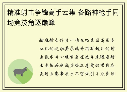 精准射击争锋高手云集 各路神枪手同场竞技角逐巅峰