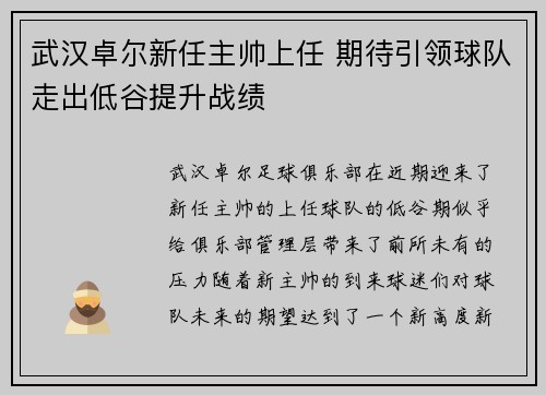 武汉卓尔新任主帅上任 期待引领球队走出低谷提升战绩