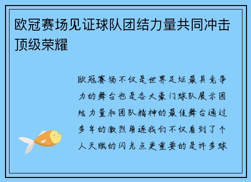 欧冠赛场见证球队团结力量共同冲击顶级荣耀